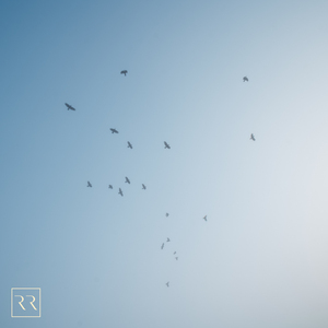 乱欲老头又粗又长
