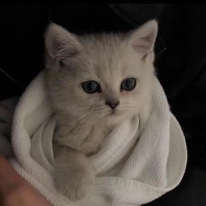 乱欲老头又粗又长
